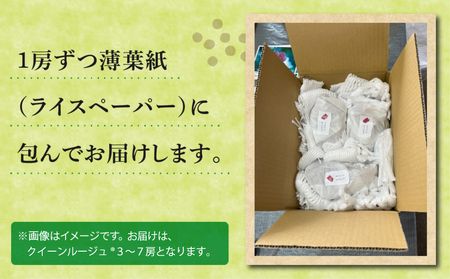 【先行受付2026年発送】農家直送！朝採れクイーンルージュ(R)3～7房（約2kg）｜おぎはら園 ※2026年9月下旬～10月上旬順次発送