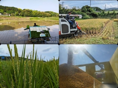 令和7年産 むなかた産 米 夢つくし ぴかまる 食べ比べ 各5kg 計10kg 【みきふぁーむ】_HA1545