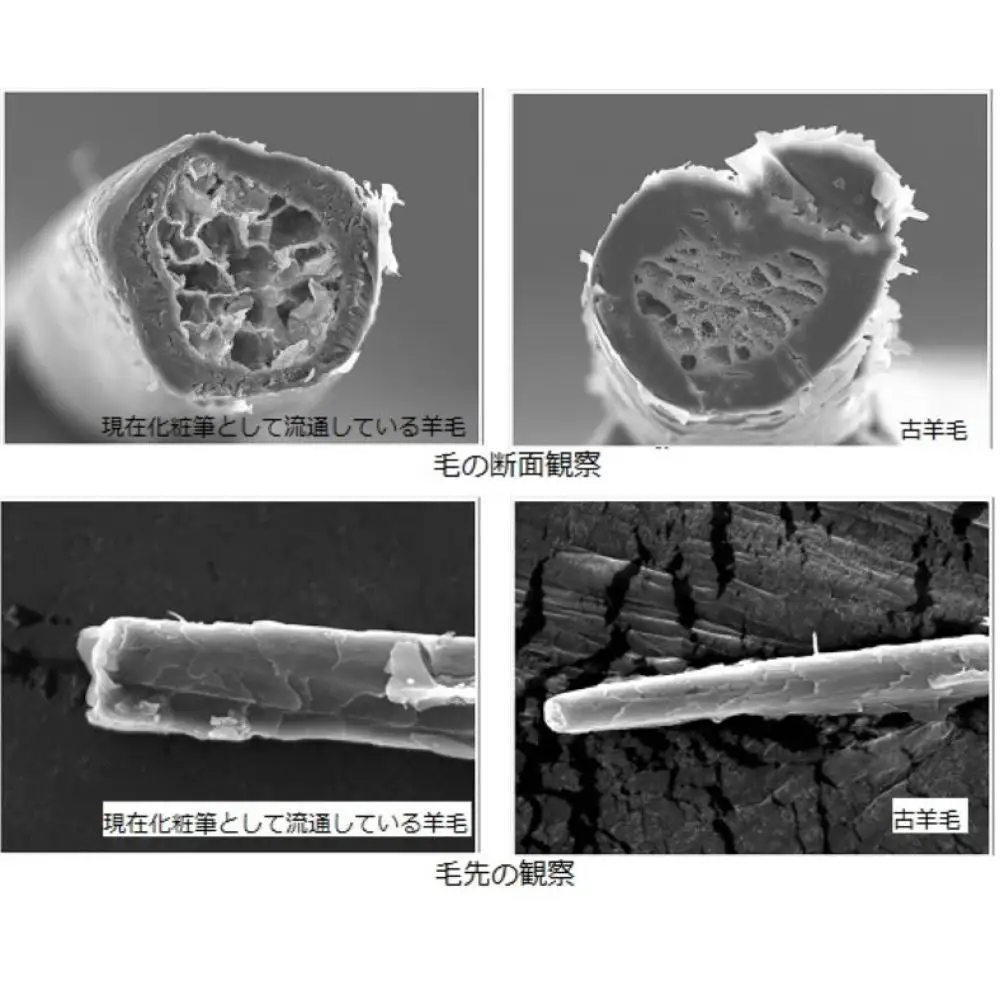高級化粧筆 古羊毛 ブラシ シャドウ ブラシ 羊毛 アイシャドウブラシ