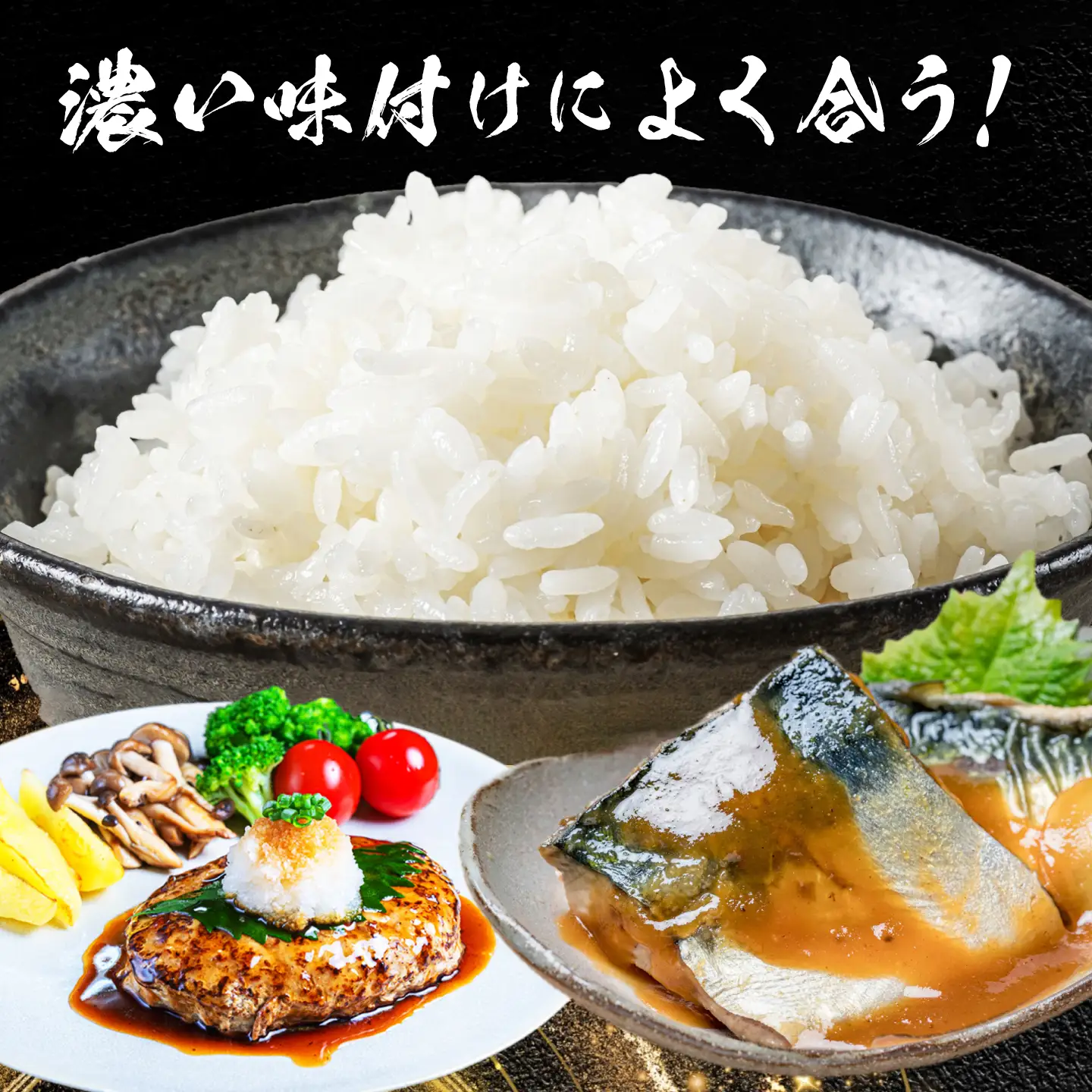 コシヒカリ 白米 5kg [AECP021-1] コシヒカリ