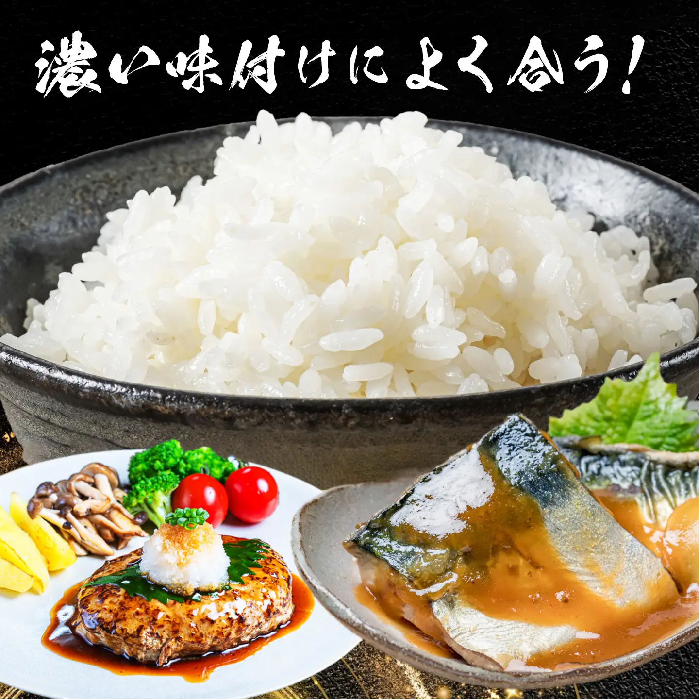 コシヒカリ 白米 20kg [AECP023-1] コシヒカリ
