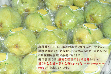 【2026年先行予約】【家庭用】西洋梨 ル・レクチェ 1kg（2～3玉）《11月下旬～順次発送》 果物 梨 洋梨 西洋梨 フルーツ 訳あり 冬の味覚 デザート 産地直送 加茂市 樋口農園 梨
