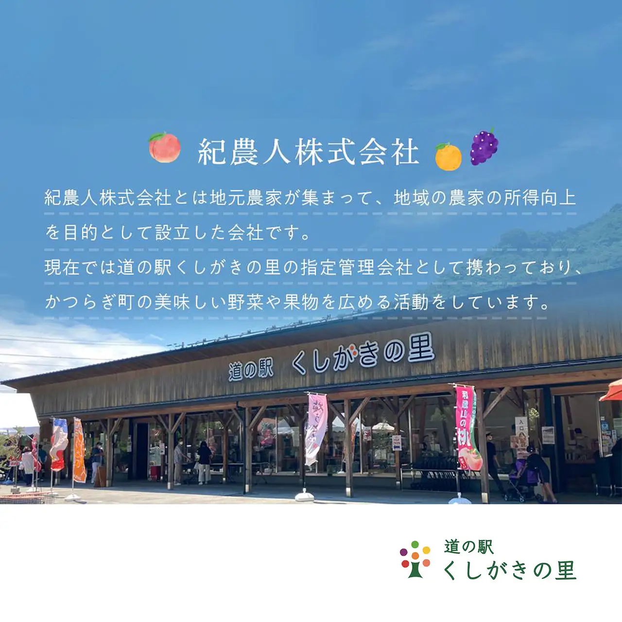 【予約受付】こだわり農家厳選 川中島白桃 和歌山産の桃 　大玉特秀品　 約2kg（6個~8個）【2027年7月下旬から8月下旬順次発送予定】（お届け日指定不可）/ 桃 もも モモ 白桃 川中島 フルーツ 果物 くだもの 旬 人気 産地直送 甘い 【kgr011B】