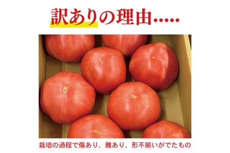 ★2026年9月より発送★ AE-105　【訳あり】JA直送「大玉トマト」約4kg(箱入り)