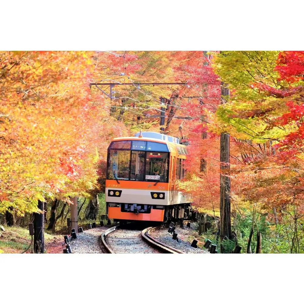 【叡山電車】叡山電車1日乗車券「えぇきっぷ」2枚セット