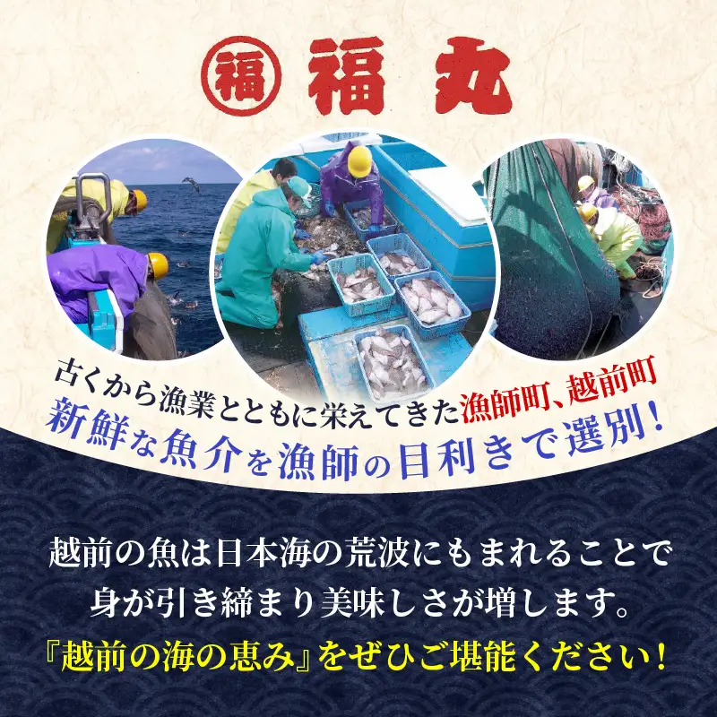越前産 はたはた 「一夜干しハタハタ詰合わせ（7～9尾入り×5パック）」 [e15-a056]