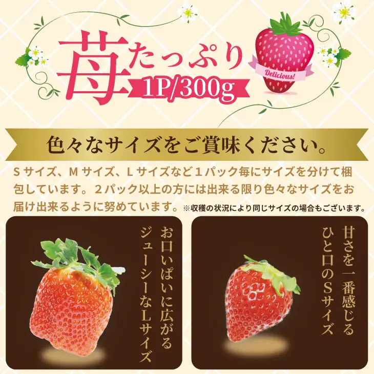 【先行予約】令和9年2月上旬頃出荷開始 いちごさん 4箱セット（1,200g） ふるかわ農園 苺 いちご 果物 B130-054
