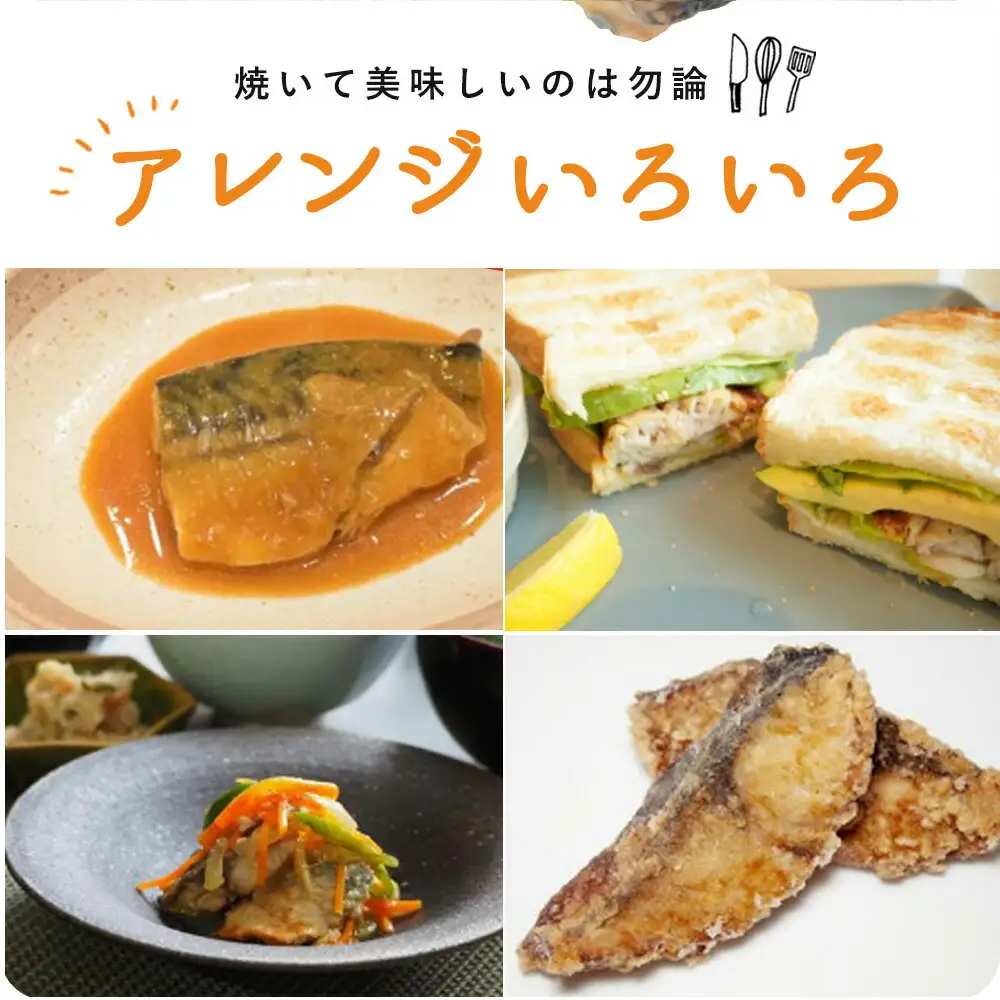 【全3回】大容量！ ご家庭用 塩さばフィレの定期便 / さば サバ 鯖 フィレ 切り身 切身 魚 海鮮 焼き魚 おかず 定期便【tkb353】