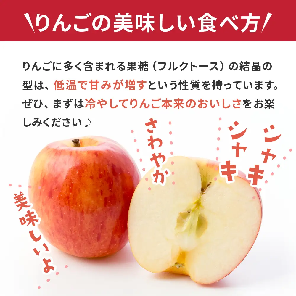 【2月後半発送】 りんご 約3kg 丸福 サンふじ 青森県産 りんご