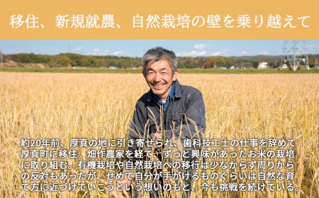 【全6回定期便】【玄米】 自然栽培米 角田玄米（ななつぼし）5kg《厚真町》【カクタファーム】 [AXAR002] 米 お米 玄米 ななつぼし ご飯 北海道 定期便