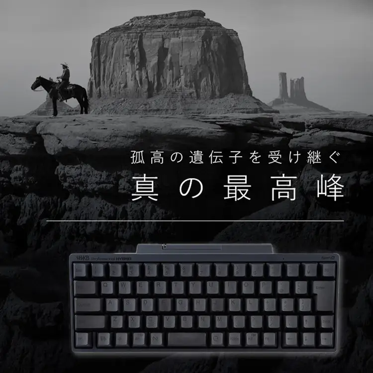 HHKB Professional HYBRID Type-S 無刻印／墨（英語配列） PD-KB800BNS　家電 キーボード パソコン PC  ｜パソコン