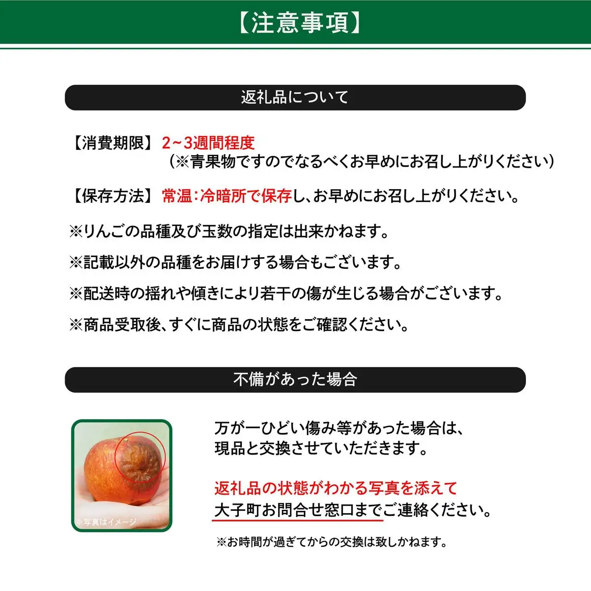【先行予約】樹上完熟の奥久慈りんご詰め合わせ　園主おまかせ約5kg（12～23玉）【2026年9月下旬頃順次発送開始予定】斉藤りんご園第2直売所｜茨城県 大子町 林檎 果物 フルーツ 旬（CG002-1）