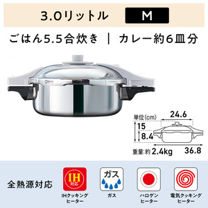 圧力鍋 ゼロ活力なべパスカルM オールライト26 圧力鍋 ダイヤモンドグレー