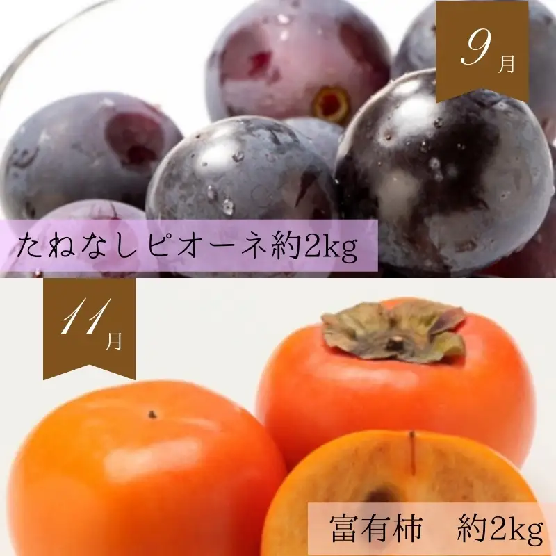 【全6回定期便】奇数月にお届け♪旬の野菜とフルーツ定期便！キウイ・清見オレンジ・アイコトマト・桃・ピオーネ・富有柿【tkb357】