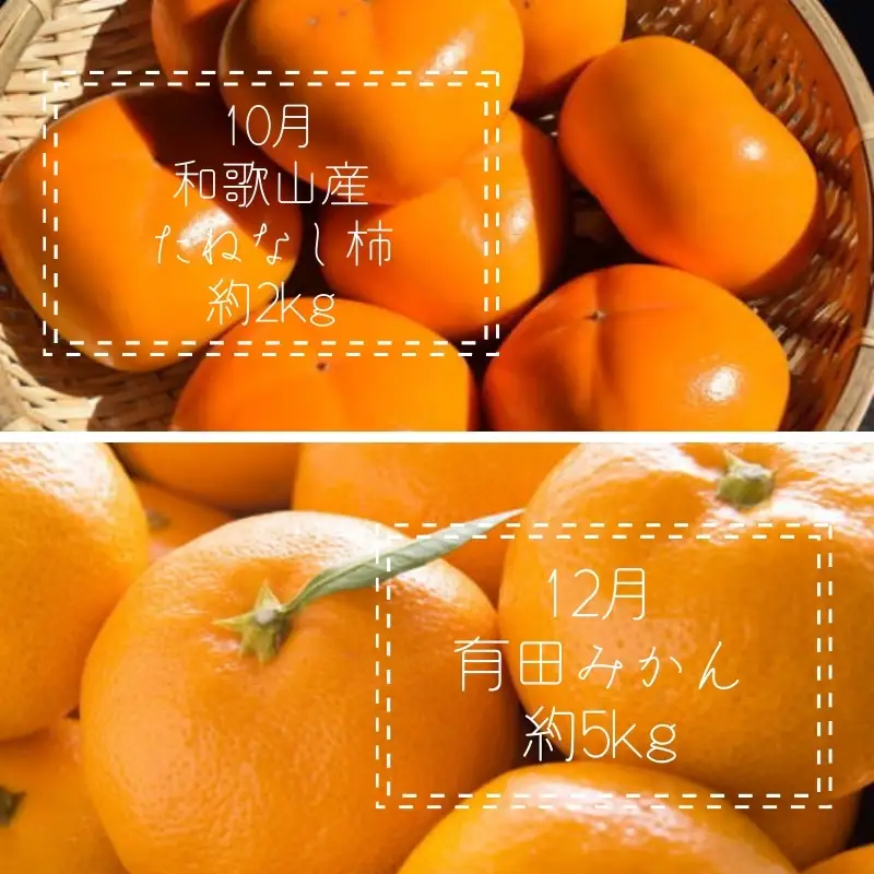 【全6回定期便】偶数月にお届け♪【産直】和歌山産フルーツ定期便！ポンカン・カラマンダリン・小玉すいか・梨・たねなし柿・有田みかん【tkb359】