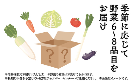季節の野菜セットA 6～8品目 お届け回数 12回 お届け 定期便  12ヶ月 品目おまかせ BBQ 春 夏 秋 冬 野菜 料理 自宅用 岐阜県産 本巣市 新鮮 やさい 数量限定 冷蔵 道の駅 織部の里 [mt1617] 
