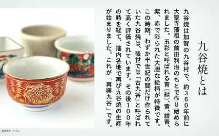九谷焼「古九谷意 山水曳舟図 8号皿」浮田 健剛 陶器