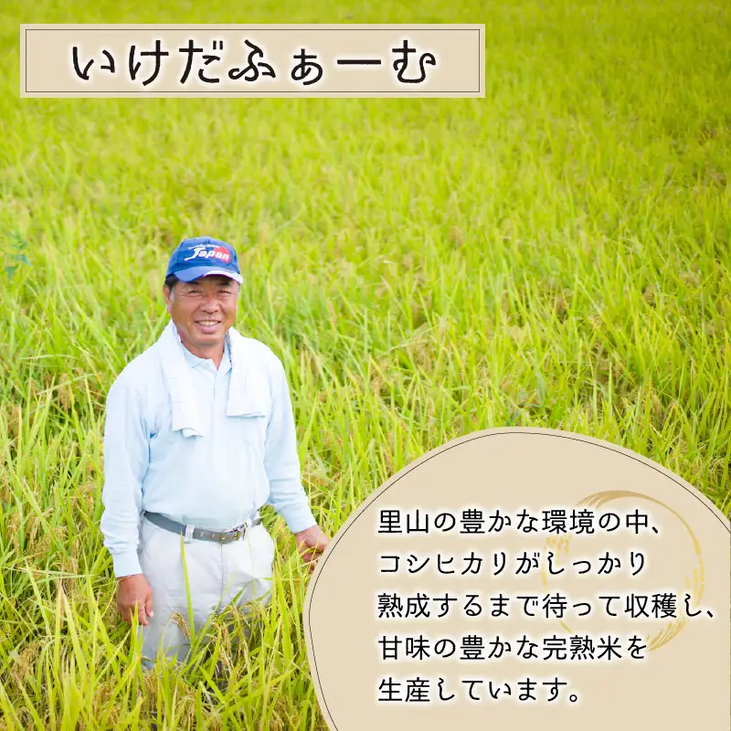 【先行予約】【令和8年産 新米】【12ヶ月定期便】くらもち完熟米 コシヒカリ （白米）10kg（5kg×2袋）×12回　計120kg