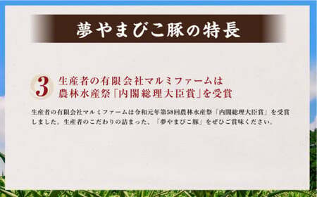「夢やまびこ豚」特別！お腹まんぷくセット 小間切れ 2.0kg＋挽肉 2.0kg | 豚肉 肉 お肉 小間切れ こま切れ 挽き肉 挽肉 ミンチ 豚ミンチ 小分け 真空パック 冷蔵 送料無料