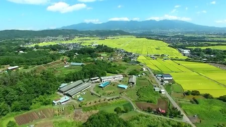 ＜ 数量限定 / 希少部位 ＞ 信濃美味牛『信州プレミアム牛肉認定・イチボステーキカット』200g×1【 黒毛和牛 和牛 牛肉  ビーフステーキ イチボ ランプ ステーキ 長野県 佐久市 高成牧場 】