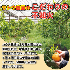 贈答用 不知火 2.0kg 7～10 個 不知火 みかん