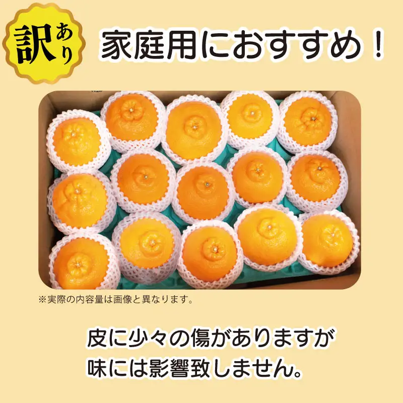 訳あり 不知火 3.8kg 13個入り 不知火 みかん しらぬい