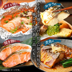 【定期便　全3回】人気の2種塩さば＆紅鮭切り身セット計6kg (2kg × 3回)_G60-T54