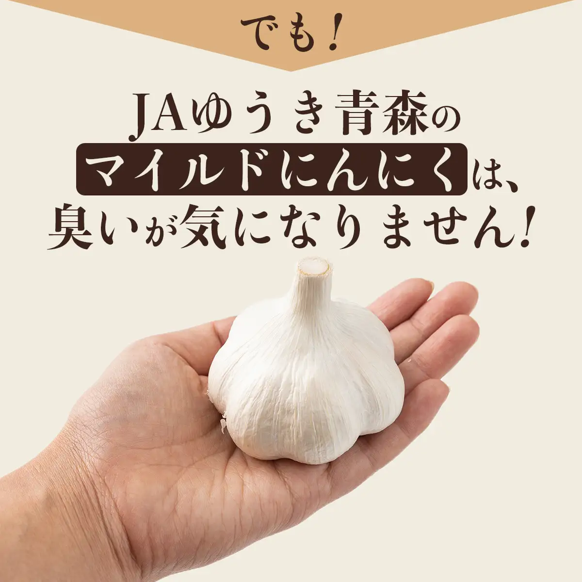 マイルドにんにく A級品 Lサイズ3kg【国産 にんにく A級品 Lサイズ 新鮮 野菜 長期保存 健康 贈り物 ギフト 東北 青森県 七戸町 送料無料】【02402-0318】