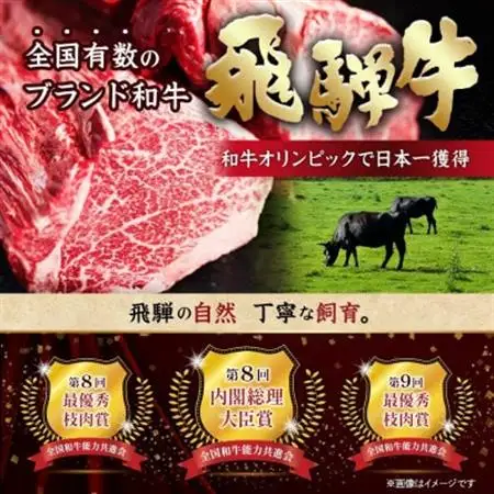 【毎月定期便】飛騨牛 極定期便 計1.7kg【冷蔵便】A4～A5等級 シャトーブリアンほか 全3回_肉 ステーキ 牛肉 ビーフステーキ  肉 焼肉 牛肉 やきにく ヤキニク バーベキュー  定期便 定期便  _【配送不可地域：離島】【4055508】
