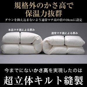 羽毛布団 ダブル ホワイトダックダウン93％ 訳あり 布団 プレミア2