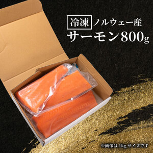 訳あり サーモン[800g] 冷凍 鮭 しゃけ さーもん EY