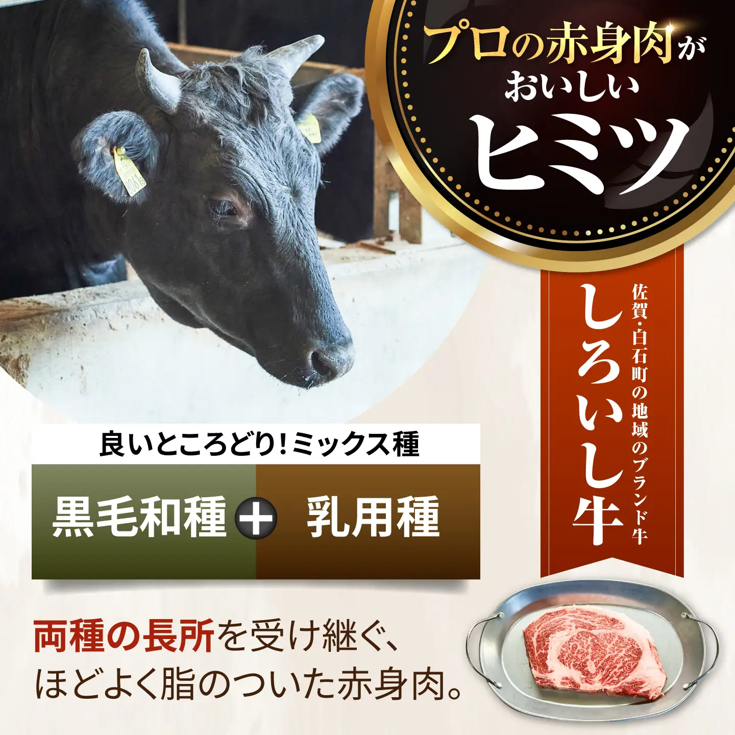 国産牛 焼肉盛合せ500g  / 焼肉 [IAH001]