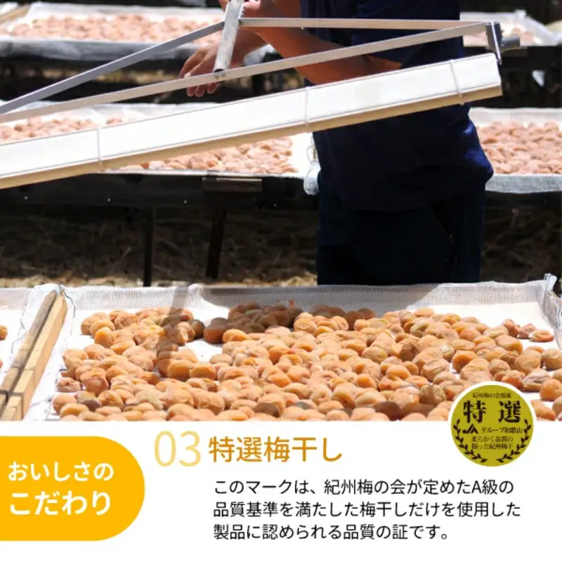 昔ながらのしょっぱい白干し梅 （塩分22％）３Ｌサイズ500g　 / 田辺市 紀州南高梅 南高梅 梅干し 梅干 梅 うめ 肉厚 お米 おにぎり 焼酎 梅酒 健康 白干し梅 塩分22％ ご飯のお供【kng014-1】