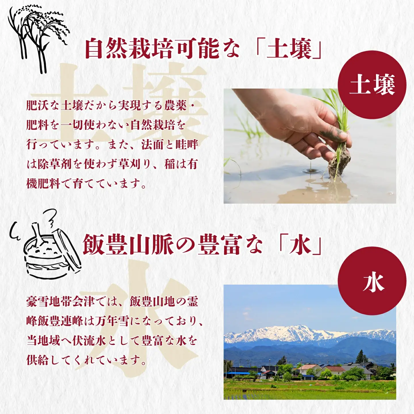 令和7年産 特別栽培米「福 笑い」 5kg 白米 福島県トップブランド米 美米郷会津柴城米【07208-0440】