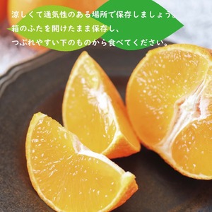 【2026年12月中旬から順次発送】 紅まどんな (愛媛県産) 約1.5kg (5～8玉入り) ミニ化粧箱入り 青秀 | まどんな べにまどんな ベニマドンナ 紅マドンナ 愛媛県産 フツール 果物 くだもの 柑橘 贈答 ギフト 期間限定 ギフト プレゼント 高級柑橘 美味しい 紅まどんな フルーツ 愛媛 松山 送料無料 【SHM012】