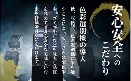 【先行予約】令和8年産米〈6回定期便〉ゆきん子舞 10kg（5kg×2袋） | 新潟県