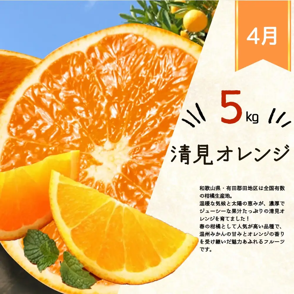 【全3回】紀州和歌山産旬の柑橘定期便(みかん・不知火・清見オレンジ)【tkb384】