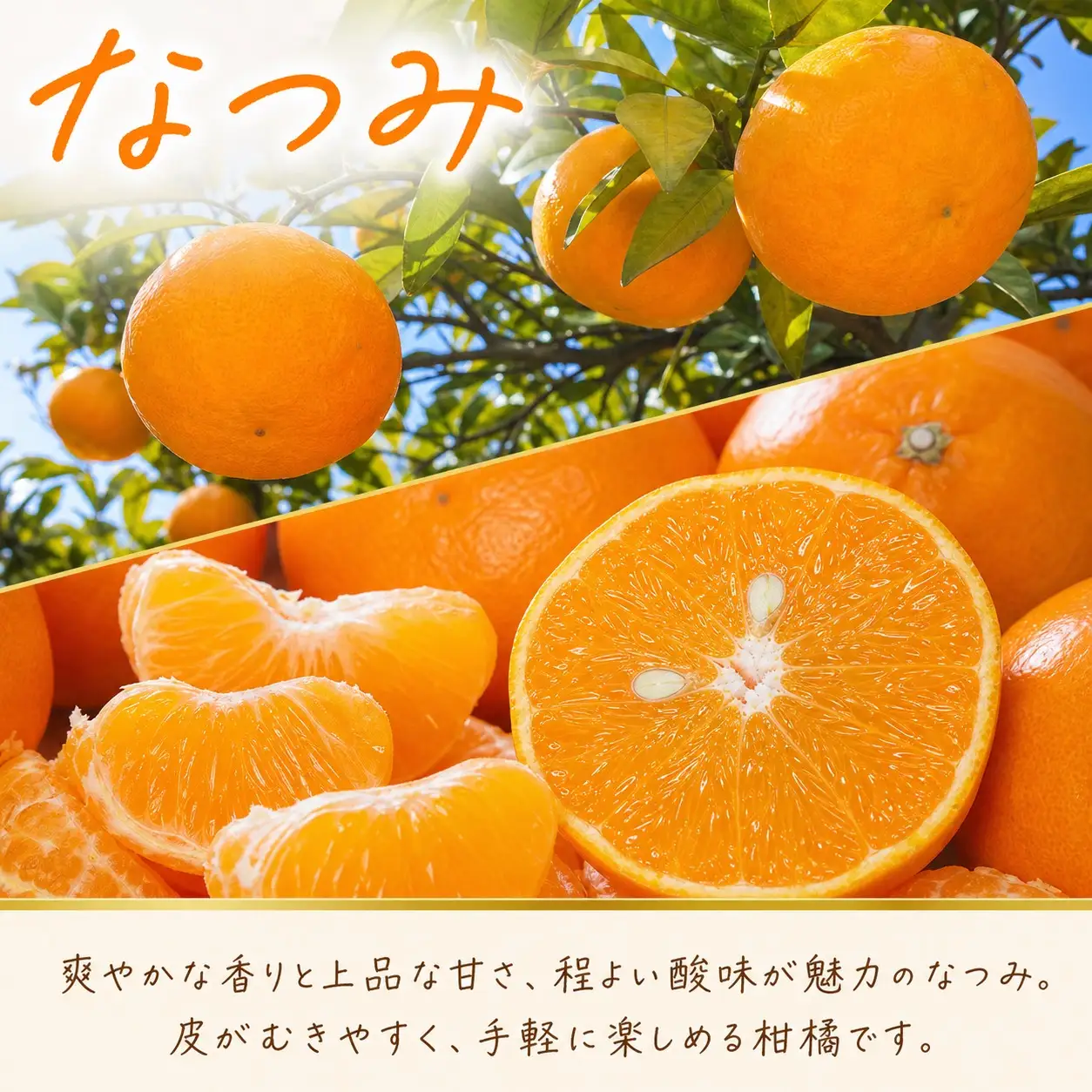 【全3回】紀州和歌山産旬のフルーツ定期便 (田村みかん・いちご・なつみ) 【tkb374】