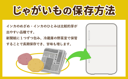 インカのめざめ 10kg じゃがいも 飯山農場《9月中旬-3月上旬頃出荷》芋 ジャガイモ 野菜 送料無料 北海道 浦幌町 