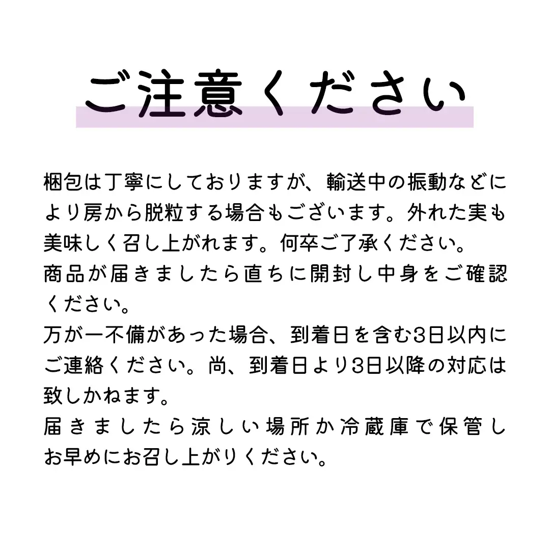 《 2026年 収穫分 》 種あり 巨峰 3kg 8～13房 (桜川市・石岡市共通返礼品) 先行予約 石田ぶどう園 国産 茨城県 桜川市 ぶどう ブドウ 葡萄 果物 くだもの フルーツ 旬 人気 産直 採れたて 新鮮 産地直送 秋 贈答 ギフト プレゼント [FB003sa]