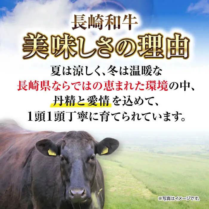 【最高級A5ランク】長崎和牛 肩ロース スライス 500ｇ（すき焼き・しゃぶしゃぶ用）《壱岐市》【肉の相川】 牛肉 牛 和牛 しゃぶしゃぶ すき焼 すき焼き 贈答 ギフト 贈り物 お中元 お歳暮 冷凍配送 A5 [JGB012]