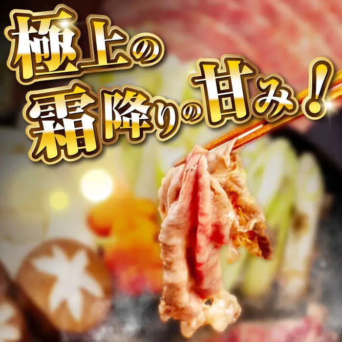 【最高級A5ランク】長崎和牛 極上 サーロインスライス 400ｇ（すき焼き・しゃぶしゃぶ用）《壱岐市》【肉の相川】 牛肉 牛 和牛  霜降り 霜ふり しゃぶしゃぶ すき焼 すき焼き 贈答 ギフト 贈り物 お中元 お歳暮 冷凍配送 A5 [JGB018]