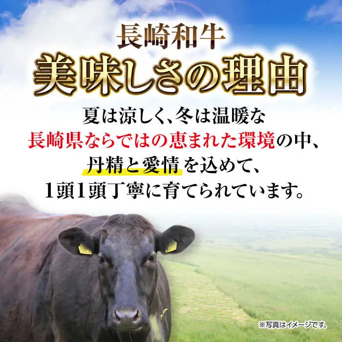 【厳選希少部位】長崎和牛 ミスジステーキ　約300g（100g×3枚） [JGH027]希少部位