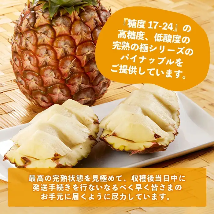 パイナップル好きにおすすめ！満足のパイナップル2品種定期便 《2027年4月～7月順次発送》