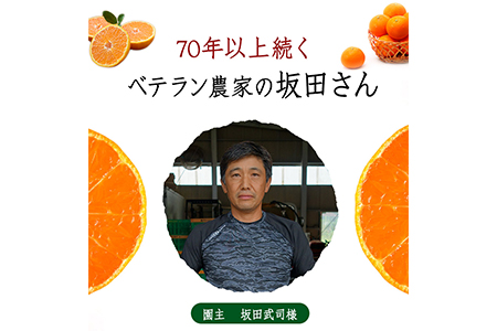 先行予約 みかん 約5kg 坂田農園 みかん