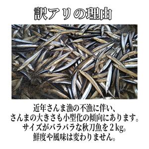 訳あり 鮮さんま 約2kg 冷蔵