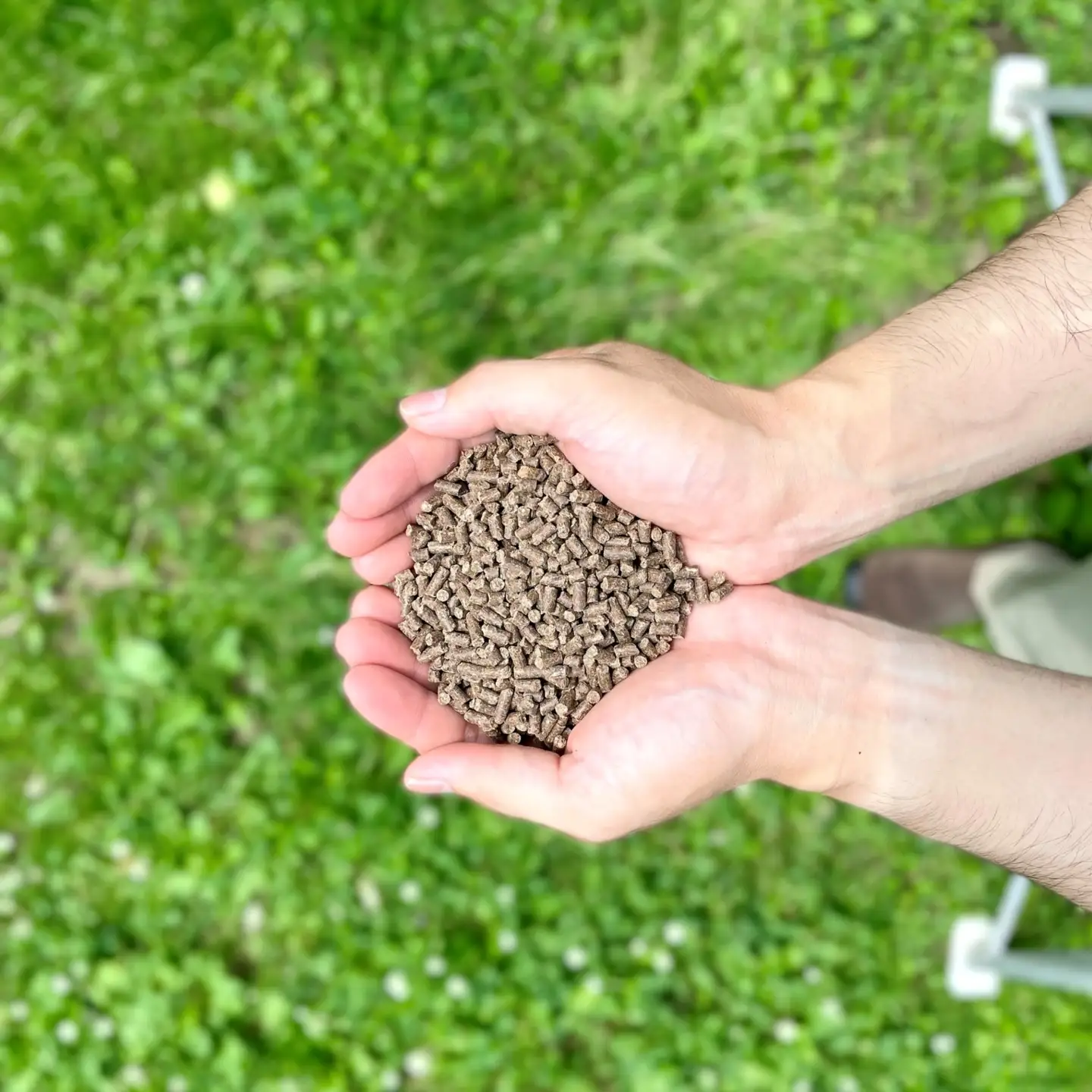 【ふるなび限定】【2027年1月中旬発送】 りんご 約5kg サンふじ【家庭用】青森県産 りんご FN-Limited-SP