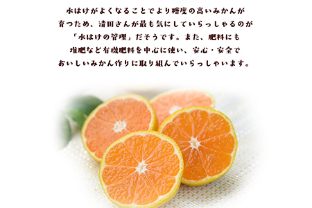 【ご家庭用】『清晃アグリ』のご家庭用みかん★約4kg(2S-2Lサイズ)《11月中旬-12月末頃出荷》