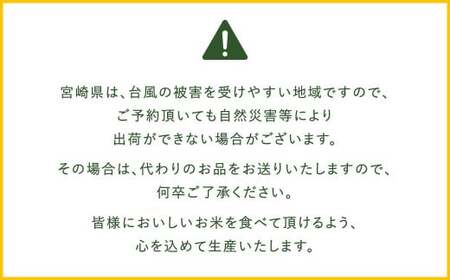 【12か月定期便】 無洗米 ＜真空パック＞ 米 国産 令和7年産 ヒノヒカリ 宮崎県産（ 計10kg×12回）
