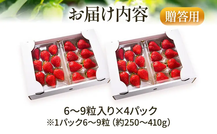 いちご あまおう 6～9粒入り×4P R9年1月以降発送 いちご